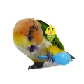 Interactive Parrot Bird Toy Set - 3PCS Sand Hammers for Training and Enrichment. 