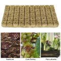 50Pcs Square Rock Wool Grow Stonewool Hydroponic Grow Media Plant Soilless Substrate Plug Seedling Block Gardening Tool. 