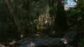 Crysis Remastered Pc Game. 