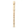 Generic Plastic Recorder Flute Soprano Flute Musical Instrument For Kids 6 Hole C Key Soprano Easy to play & carry. 