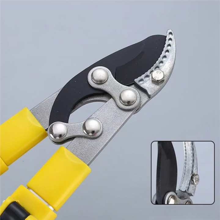 Gardening Fruit Tree Pruning Shears Long Pruner Branch Extension Garden ...