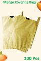 Mango Covering Bags / Fruit Protection Bag / TJC Mango Bags / Mango Bag. 