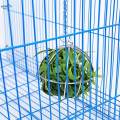 Hung Ball Shape Feeder Toy Stainless Steel Grass Rack for Chicken Hamster Rat. 