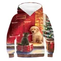 Hoodies 3D Print Streetwear Boys Girls Casual Sweatshirts Oversized Hoodie Kids Tracksuits  Outdoor Clothing Spring Fall Winter. 