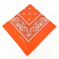 Unisex Men Women Cotton Bandana Hairband Cowboy Mens Biker Sports Headwear Wrist Hairwrap Double Sided Head Wrap Scarf Paisley. 
