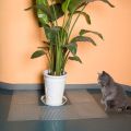 Garden Cat Scat Mat Anti Cat Bird Spike Repellent Mat Prevent Dog Digging 防猫刺网垫. 