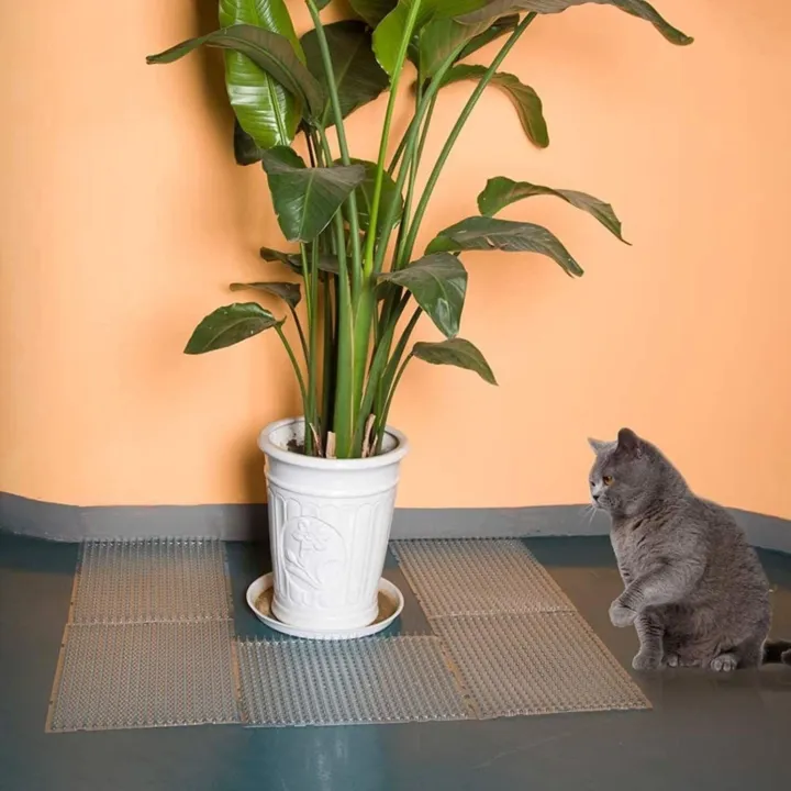 Garden%20Cat%20Scat%20Mat%20Anti%20Cat%20Bird%20Spike%20Repellent%20Mat%20Prevent%20Dog%20Digging%20%E9%98%B2%E7%8C%AB%E5%88%BA%E7%BD%91%E5%9E%AB%20-%20Image%206