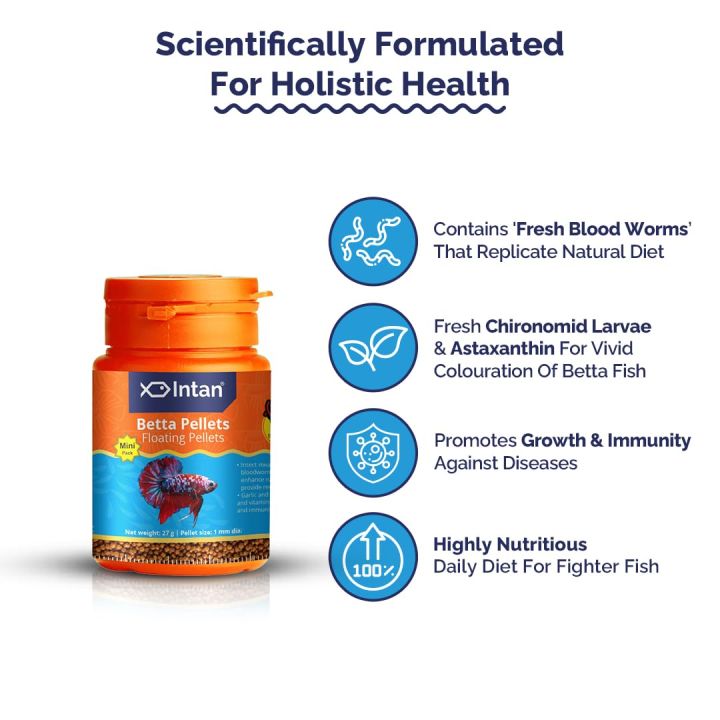 Intan%20Growel%20Betta%20Pellets%2027g%20(1mm%20Floating)%20Highly%20Nutritious%20Ornamental%20Fish%20Food%20For%20Betta%20Siamese%20Fighters,%20Crown%20Tail,%20Longfin,%20Big%20Eared%20&%20Koi%20Fighter%20-%20All%20Life%20Stages%20Fish%20Feed%20-%20Image%205