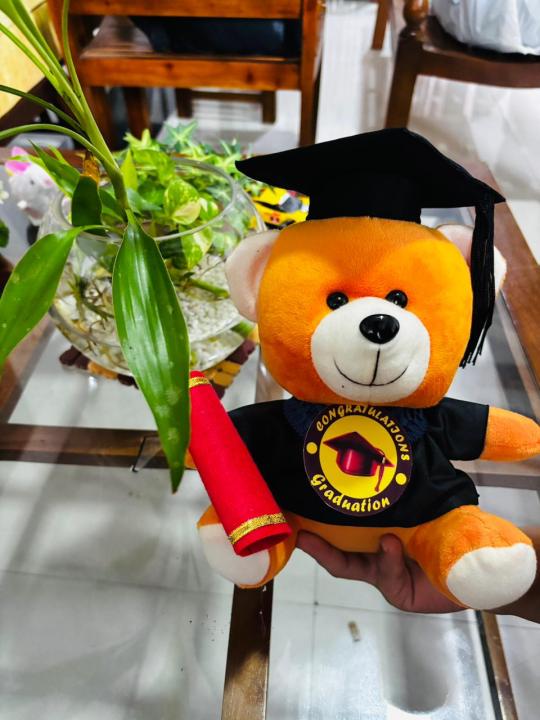 Graduation Teddy Bear | Graduation Gift Degree Bear | University Convocation Gift | Diploma Gift (24cm)