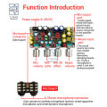 Dc 8-26v Amp Karaoke Reverb Board Microphone Karaoke Singing Front Effector Dsp Mixing Anti Howling Board Moduel For Arduino. 