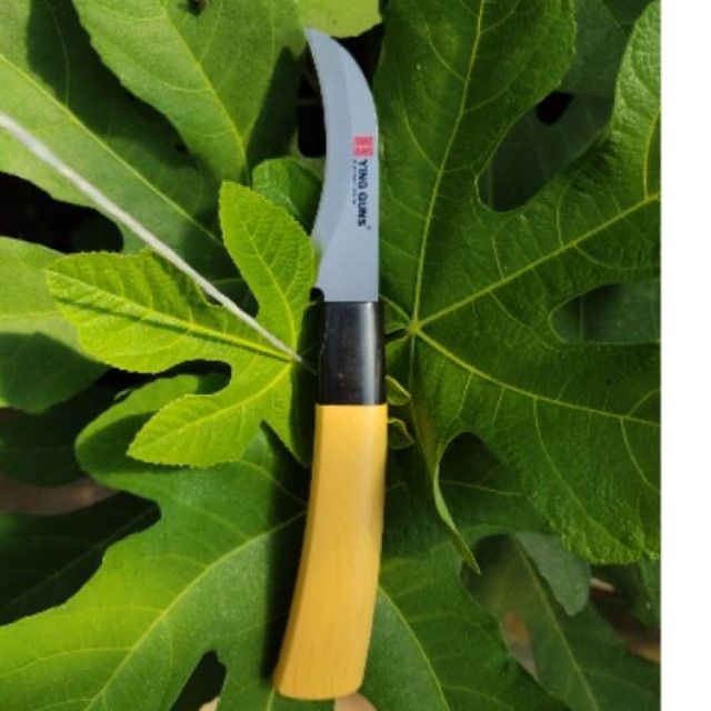 Ying%20Guns%20Stainless%20Japanese%20Knife%20Steel%20Curve%20Edge%20Fruit%20Paring%20Knife%20Chef%20Cutting%20Vegetables%20Fruits%20-%20Image%207