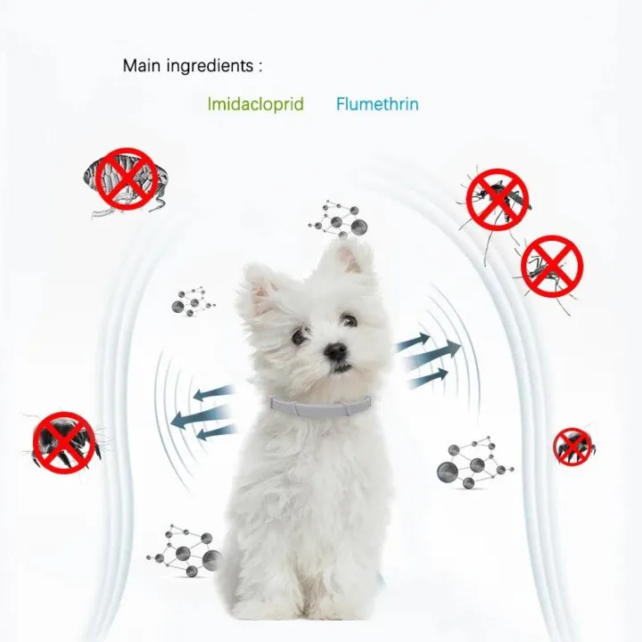 New%2038/70CM%20Pet%20Anti%20Flea%20Ticks%20Antiparasitic%20Cats%20Collar%20Dog%20Protection%20Retractable%20Collars%20For%20Puppy%20Cat%20Large%20Dogs%20Accessorie%20-%20Image%205