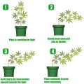 100Pcs Plant Benders for Low Stress Training, Plant Training Clips, Plant Supports Control the Growth of Plants. 