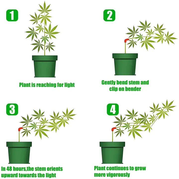 100Pcs%20Plant%20Benders%20for%20Low%20Stress%20Training,%20Plant%20Training%20Clips,%20Plant%20Supports%20Control%20the%20Growth%20of%20Plants%20-%20Image%204