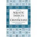 Guide to Aquatic Insects & Crustaceans. 
