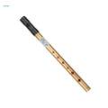 Traditional Penny Whistle Music Instrument Flute Whistling for Kids Beginners. 