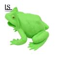 Loveseason Jump Into Fun with The Frog Squeeze Toy A Stress-relieving Sensory Play Toy for Kids Adults Perfect for Parties Gifts Classroom Prizes. 