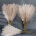 Natural Fake Wedding Decor For Home Decoration Bedroom Plante Artificial Flower Pampas Grass Fake Flowers Artificial Reed. 