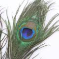 10/20/50Pcs Real Natural Peacock Tail Eyes Feathers For DIY Clothes Decoration Wedding Party 25-30cm Beautiful Peacock Tail Feathers. 