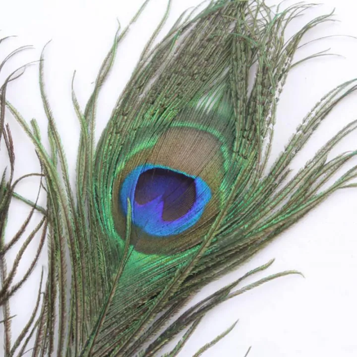 10/20/50Pcs%20Real%20Natural%20Peacock%20Tail%20Eyes%20Feathers%20For%20DIY%20Clothes%20Decoration%20Wedding%20Party%2025-30cm%20Beautiful%20Peacock%20Tail%20Feathers%20-%20Image%207