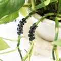100Pcs Plant Benders for Low Stress Training, Plant Training Clips, Plant Supports Control the Growth of Plants. 