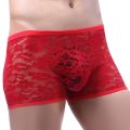 024 underwear lace flat angle ice silk autumn and winter new white pants pants printed mesh men's horn plus boy 2. 