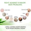 DR Rashel Aloe Vera Moisture Cream 3 IN 1 50g. 