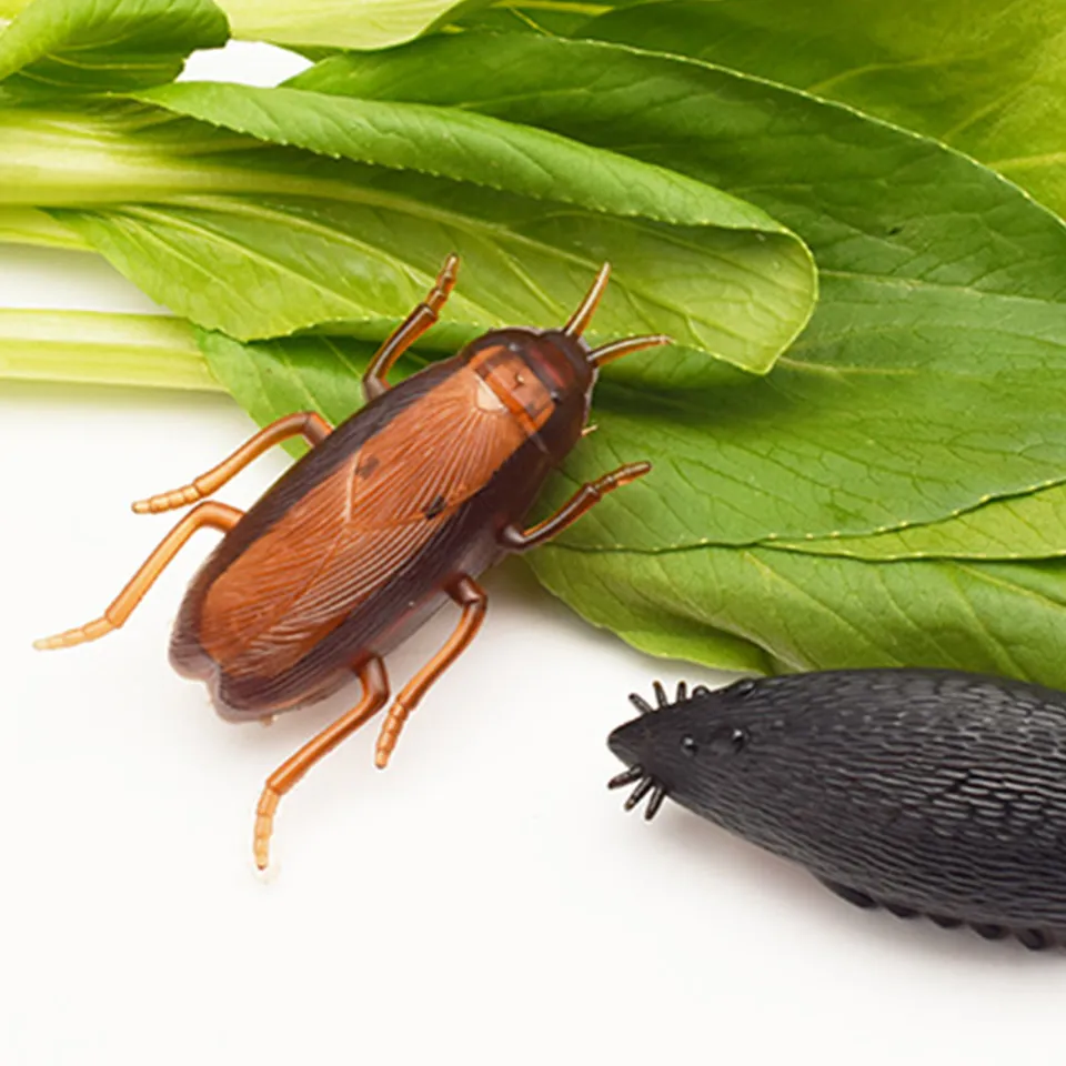 underwear with vibration Radiant Vibration Electronic Animal Toy Realistic Simulated Cockroach Toy  Fun Prank Vibration Insect Toy for Surprise Crawling Toy