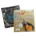 Alice AM05 Mandolin separate Strings Loose, Loop End, E-A-D-G x2, 0.011/0.015/ 0.026/ 0.040inch one by one Plated Steel Plain String, Silver-Plated Copper Alloy Winding, (85/15 Bronze Color) Anti-Rust Coating kandy musical hub. 