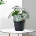 Ethereon Home Decor Artificial Plant Realistic Artificial Potted Plant No Watering Needed Small Home Decor Reusable Green Plant for Living Room Buyers' Favorite Artificial Indoor Plant. 