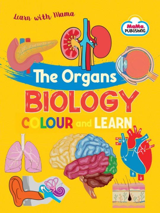 Children Activity Colouring Books Biology  Human Organs