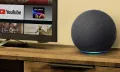 Amazon Echo Dot 4th Generation Without Clock. 
