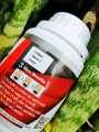 Mass Amino Red. 