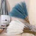 Decorations Artificial Flowers Easter Decorations Artificial Plants Pampas Grass Pampas Grass Decor Flowers. 