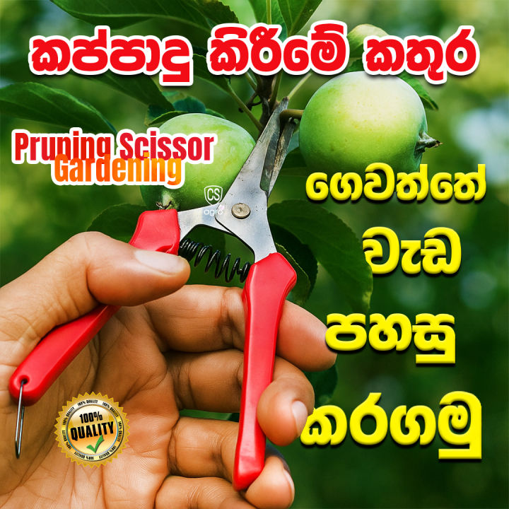 Pruning Scissor Gardening Agriculture Garden Tool
