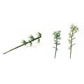 10pcs Plastic Miniature Bamboo Tree Artificial Small Sand Table Model Reusable Simulation Green Plants Garden. 