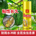 Fruit fruit fly adhesive attractant fruit fly trap insect attractant insecticidal yellow board double-sided adhesive insect board needle killer bee. 