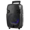 GTS-1248 8inch rechargeable stereo wireless portable speaker with free wired mic. 