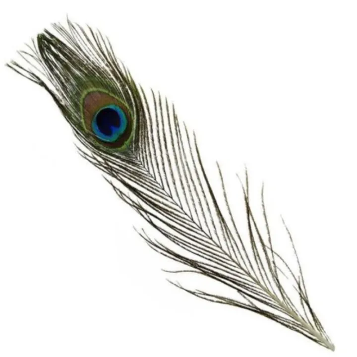 10/20/50Pcs%20Real%20Natural%20Peacock%20Tail%20Eyes%20Feathers%20For%20DIY%20Clothes%20Decoration%20Wedding%20Party%2025-30cm%20Beautiful%20Peacock%20Tail%20Feathers%20-%20Image%206