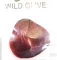 Wild Olive Repair Hair Dye Permanent Hair Color Cream Ready to Use Hair Dye 60mlX2+10ml. 