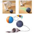 Cat Balls Toys for Indoor Cats Teaser Toys Interactive Play for Kitty Chasing. 