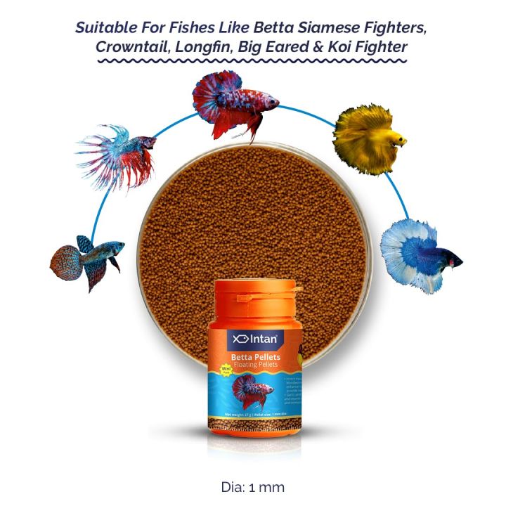 Intan%20Growel%20Betta%20Pellets%2027g%20(1mm%20Floating)%20Highly%20Nutritious%20Ornamental%20Fish%20Food%20For%20Betta%20Siamese%20Fighters,%20Crown%20Tail,%20Longfin,%20Big%20Eared%20&%20Koi%20Fighter%20-%20All%20Life%20Stages%20Fish%20Feed%20-%20Image%203