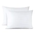 2 Pillow Cases (Micro Fabric High Quality) 18 x 27". 