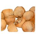 COCONUT SHELL CHIPS1 kg,1 Kg Raw type Natural Coconut shell chips for activated charcoal, cooking and orchids. 