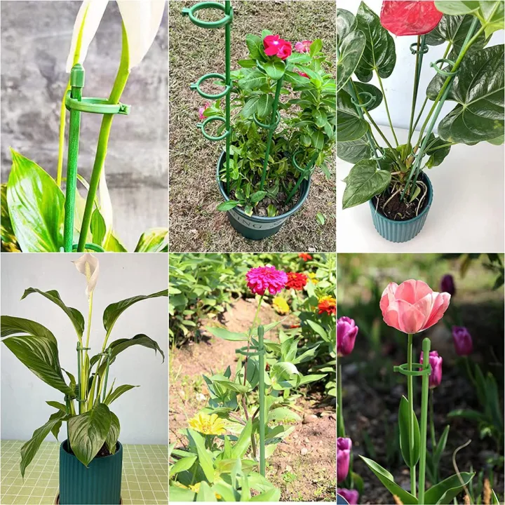 20%20Pack%20Plant%20Support%20Stakes%20Flower%20Support%20Stake%20Adjustable%20Garden%20Single%20Stem%20Floral%20-%20Image%204