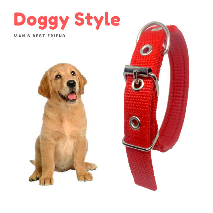 Medium%20Dog%20Collar%20Adjustable%20Soft%20Nylon%20Padded%20Cushion%20Necklace%20Pet%20Puppy%20Dog%20Belt%20Blue%20Black%20Red%20Green%20Collars%20Safety%20Dogs%20Belt%20Dog%20Strap%20Accessory%20Metal%20Buckle%20Pets%20Dog%20Chain%20Dogs%20Sale%20Sri%20Lanka%20Dogs%20Sale%20Strip%20Lanka%20Dogs%20Sell%20Pets%20Dog%20Sale%20-%20Image%209