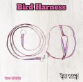 Adjustable Bird Harness With Leash Parrot Harness Pigeon Harness 145cm Length Leash. 
