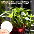 SuperRide 2 sizes: The climbing plant stem support is available in 2 sizes, including 15x15x0.3cm/5.91x5.91x0.12 inches and 10x10x0.3cm/3.94x3.94x0.12 inches. You can choose the appropriate size according to the actual situation of the plant.. 