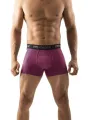 Men's Moose Boxer (10948) The Factory Outlet. 