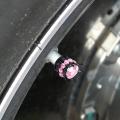 LeiyanPortable 4PCS Wheel Tire Valve Caps Cover Crown Shape Bling Diamond Tyre Stem Dust Valve Caps Truck Car Motorcycle Bicycle Air Cover. 